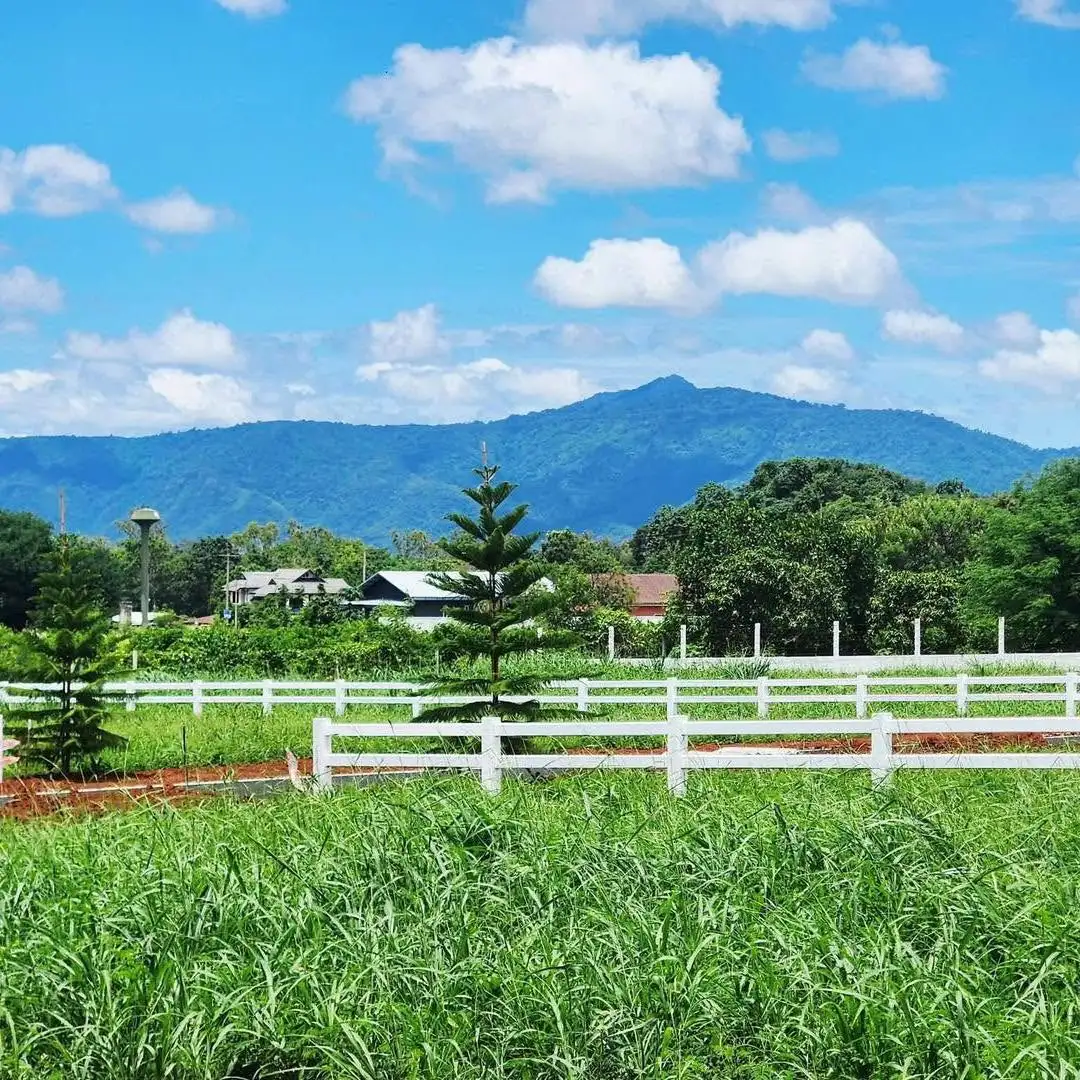 พิกัด ตำบลหมูสี แปลงเล็กเริ่มต้น 242 ตร..ว เพียง 14000/ ตรว พรีเซลรับส่วนลดสุด 200,000฿  ผ่อนตรงได้ 2 ปี ไม่มีดอกเบี้ย  06-2496-1382